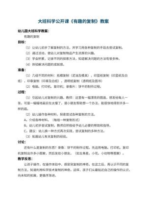 幼儿园大班科学公开课教案《有趣的复制》 包含反思预览