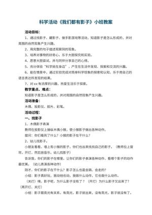幼儿园科学活动《我们都有影子》小班教案 包含反思预览