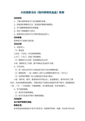 幼儿园大班健康活动《我的眼睛亮晶晶》教案 包含反思预览