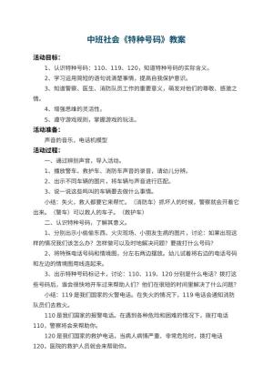 幼儿园中班社会教案《特种号码》 包含反思预览