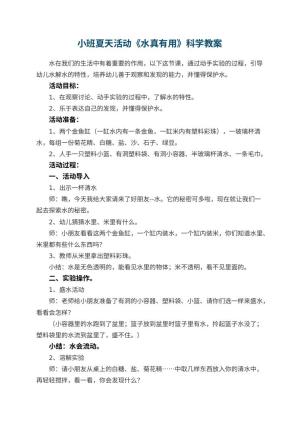 幼儿园小班夏天活动《水真有用》科学教案预览