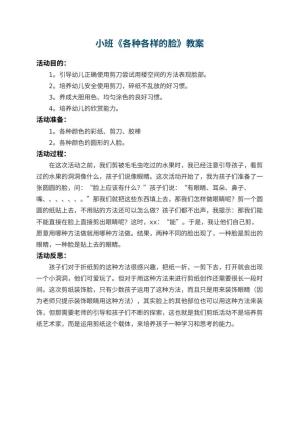 幼儿园小班教案《各种各样的脸》 包含反思