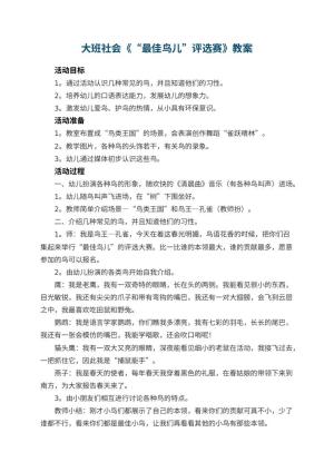 幼儿园大班社会教案《“最佳鸟儿”评选赛》 包含反思预览