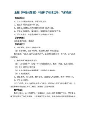 幼儿园主题《神奇的翅膀》中班科学领域活动：飞机 包含反思