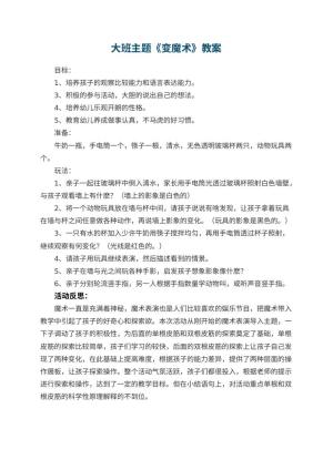 幼儿园大班主题优秀教案《变魔术》 包含反思预览