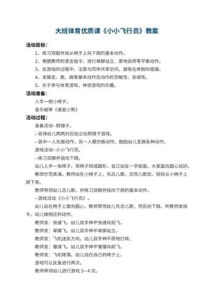 幼儿园大班体育优质课教案《小小飞行员》 包含反思