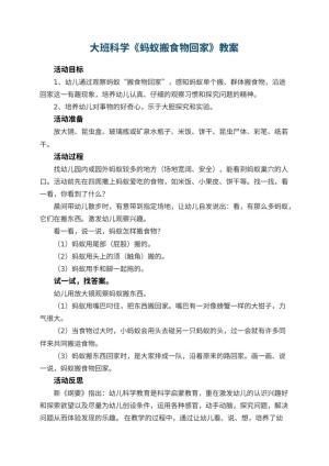幼儿园大班科学优秀教案《蚂蚁搬食物回家》 包含反思预览
