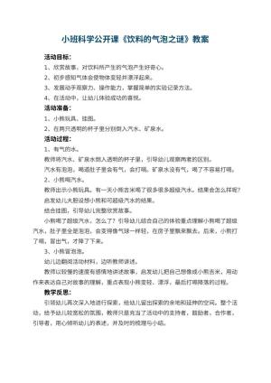 幼儿园小班科学公开课教案《饮料的气泡之谜》 包含反思