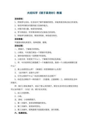 幼儿园大班科学《镜子真奇妙》教案 包含反思预览