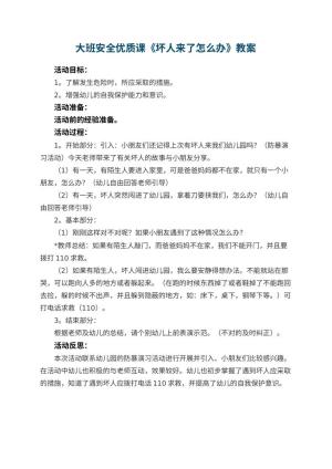 幼儿园大班安全优质课教案《坏人来了怎么办》 包含反思预览