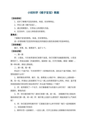 幼儿园小班科学教案《橘子宝宝》 包含反思预览