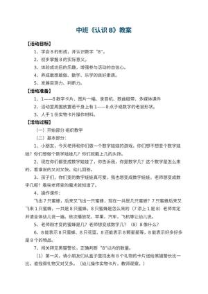 幼儿园中班教案《认识8》 包含反思预览