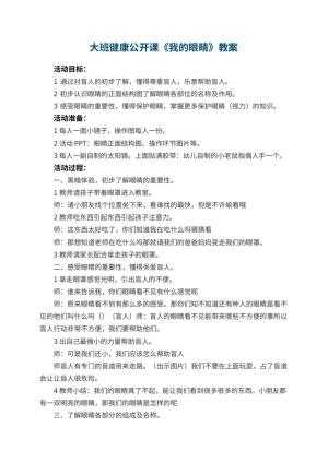 幼儿园大班健康公开课教案《我的眼睛》 包含反思预览