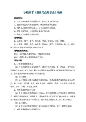 幼儿园小班科学教案《夏日用品展示会》 包含反思预览