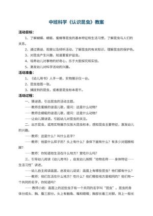 幼儿园中班科学教案《认识昆虫》 包含反思预览