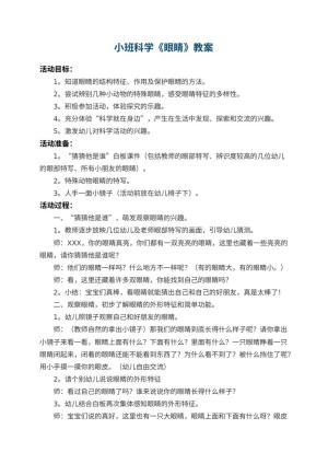 幼儿园小班科学教案《眼睛》 包含反思预览