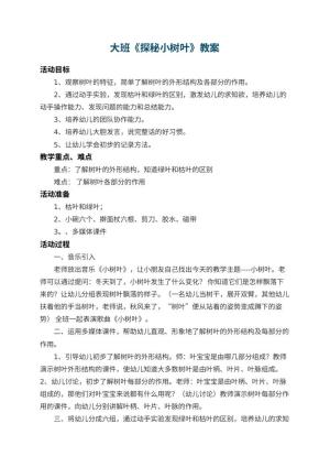 幼儿园大班教案《探秘小树叶》 包含反思