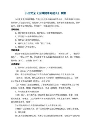 幼儿园小班安全教案《玩得健康好成长》 包含反思预览