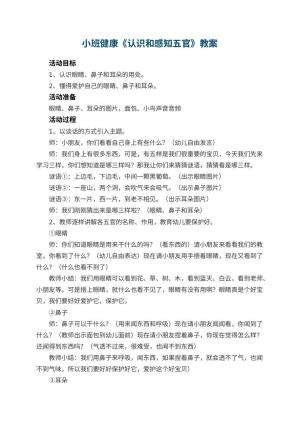 幼儿园小班健康教案《认识和感知五官》 包含反思预览