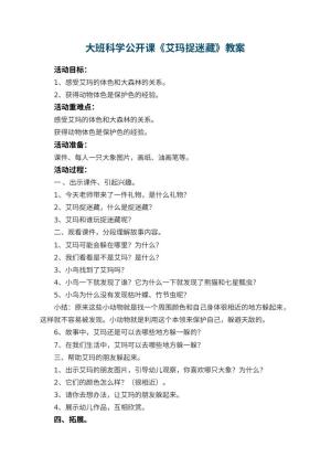 幼儿园大班科学公开课教案《艾玛捉迷藏》 包含反思预览