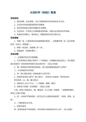 幼儿园大班科学优秀教案《蚂蚁》 包含反思预览