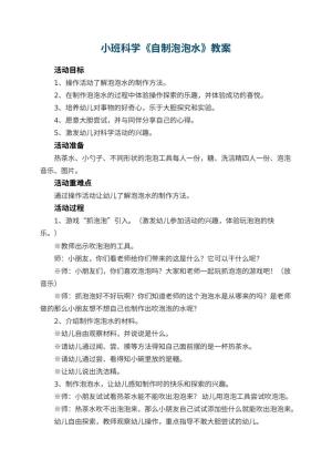 幼儿园小班科学教案《自制泡泡水》 包含反思预览