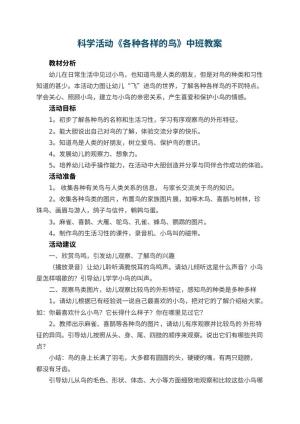幼儿园科学活动《各种各样的鸟》中班教案 包含反思预览