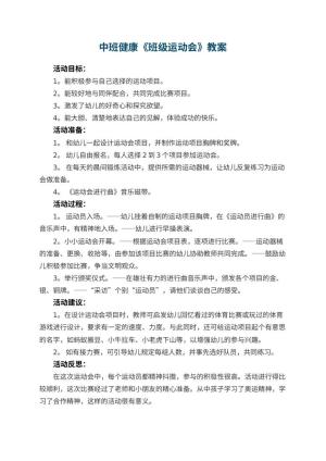 幼儿园中班健康优秀教案《班级运动会》 包含反思预览