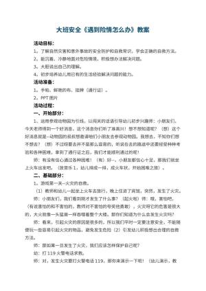 幼儿园大班安全教案《遇到险情怎么办》 包含反思预览