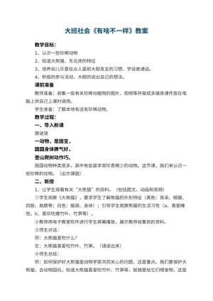 幼儿园大班社会教案《有啥不一样》 包含反思预览