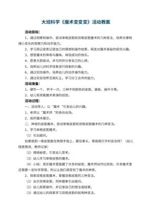 幼儿园大班科学教案《魔术变变变》活动 包含反思预览