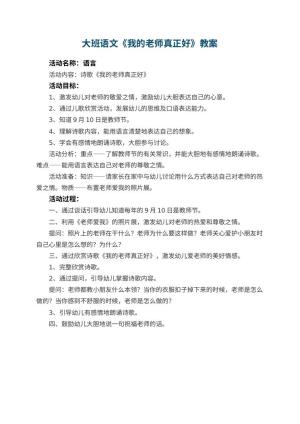 幼儿园大班语文教案《我的老师真正好》预览