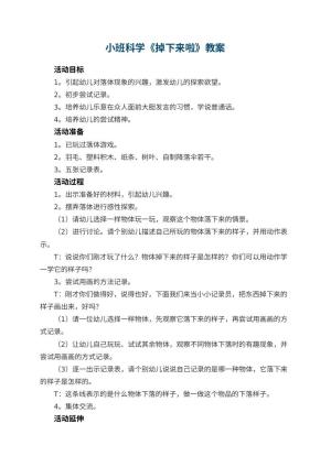 幼儿园小班科学教案《掉下来啦》 包含反思预览