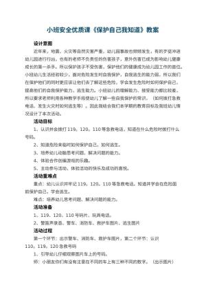 幼儿园小班安全优质课教案《保护自己我知道》 包含反思预览