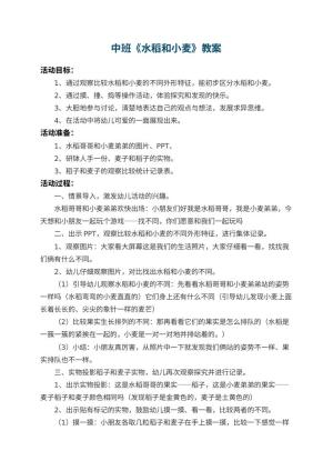 幼儿园中班教案《水稻和小麦》预览