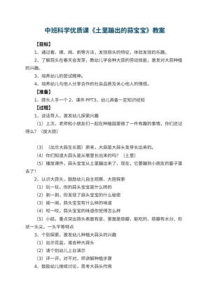 幼儿园中班科学优质课教案《土里蹦出的蒜宝宝》 包含反思预览