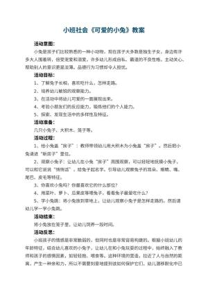 幼儿园小班社会教案《可爱的小兔》 包含反思预览