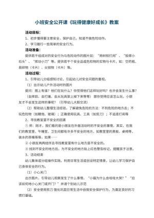 幼儿园小班安全公开课教案《玩得健康好成长》 包含反思预览