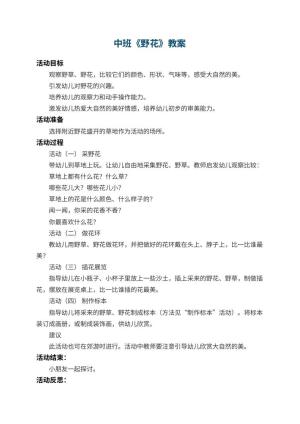 幼儿园中班教案《野花》 包含反思预览