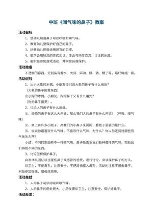 幼儿园中班教案《闻气味的鼻子》 包含反思预览