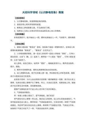 幼儿园大班科学领域教案《认识静电现象》 包含反思预览