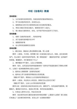 幼儿园中班教案《龙卷风》 包含反思预览