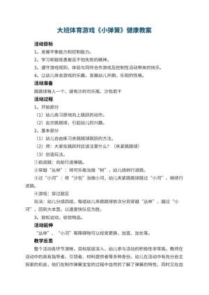 幼儿园大班体育游戏《小弹簧》健康教案 包含反思