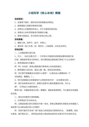 幼儿园小班科学教案《夹心冰块》 包含反思预览