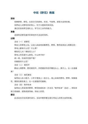 幼儿园中班教案《野花》预览