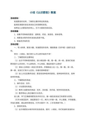 幼儿园小班教案《认识肥皂》预览