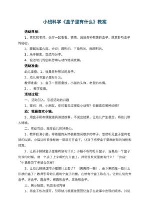 幼儿园小班科学优秀教案《盒子里有什么》 包含反思预览