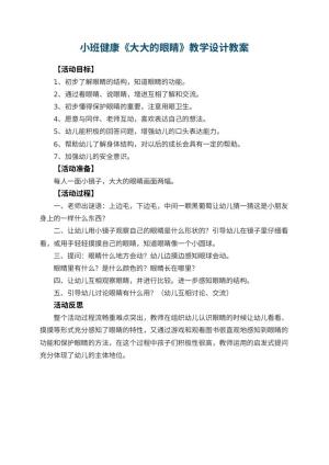 幼儿园小班健康《大大的眼睛》教学设计 包含反思预览