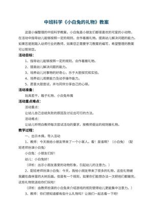 幼儿园中班科学《小白兔的礼物》教案 包含反思预览