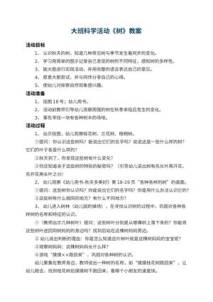 幼儿园大班科学教案活动《树》 包含反思